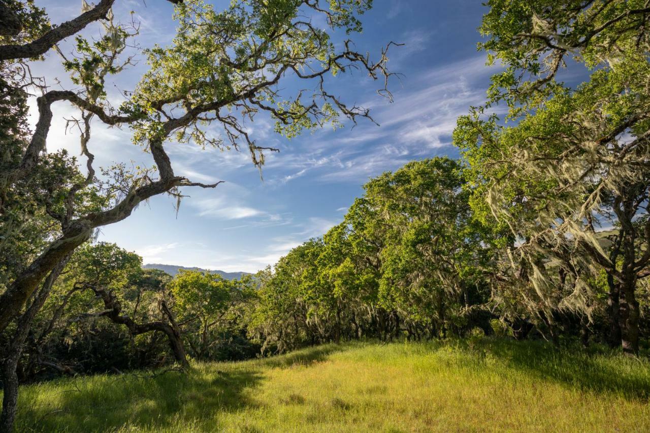 The Camp At Carmel Valley Extérieur photo